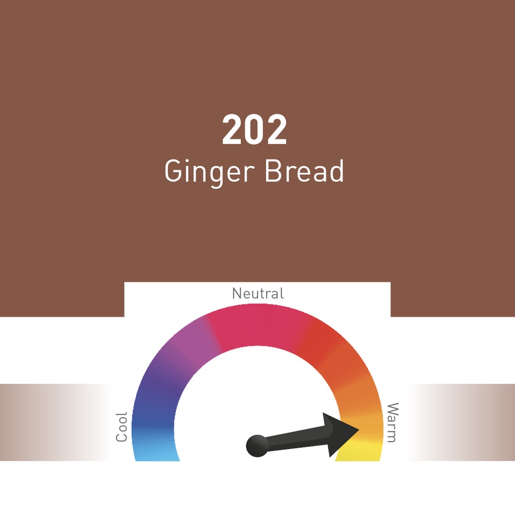 202 GINGER BREAD 10 ML
