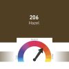 206 CHESTNUT BROWN 10 ML