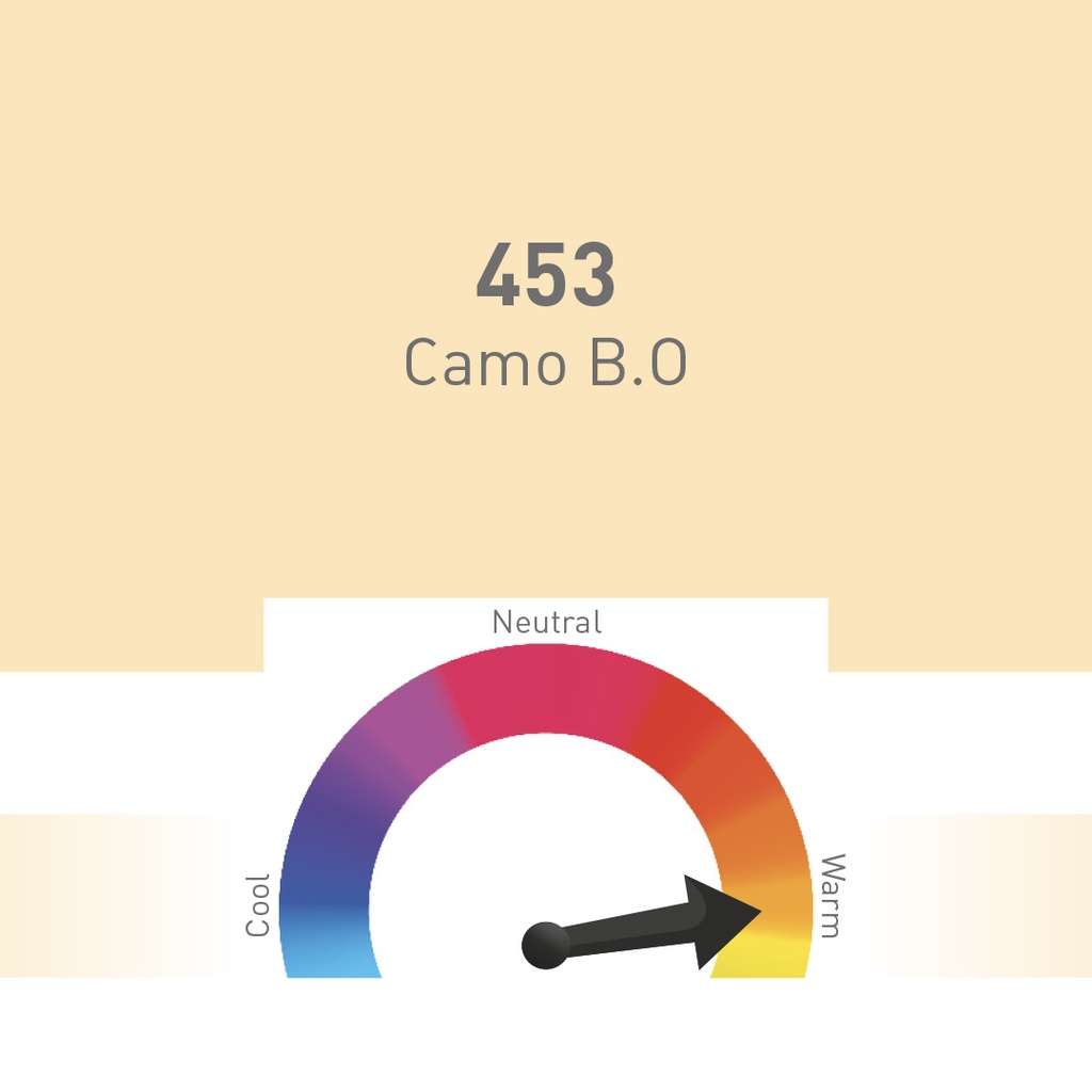 453-Camo B.O - 10ml