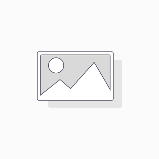[BBP0042] Flat Definer Brush BB